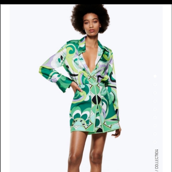 NWT Zara FAVORITE BLOGGERS TOP AND SKIRT PRINT SET - Picture 3 of 8